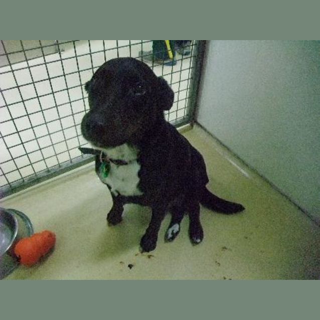 Photo of Jaxson A5780