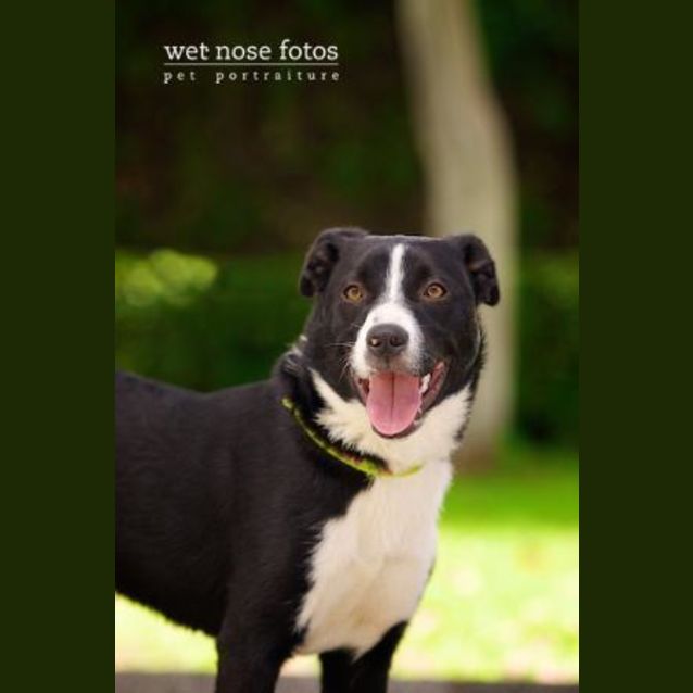 Photo of Jessie