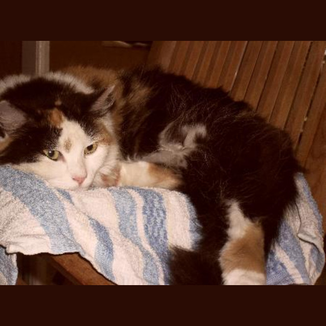 Photo of Sophie