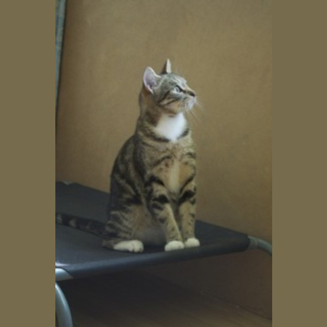 Photo of Milly
