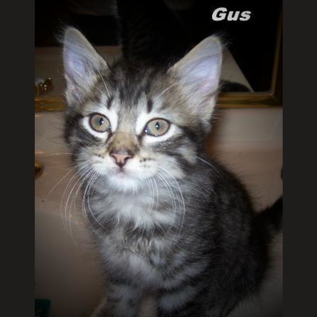 Photo of Gus