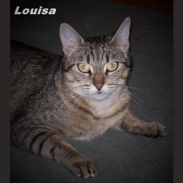 Photo of Louisa