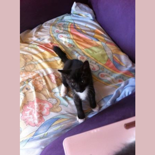 Photo of Georgina