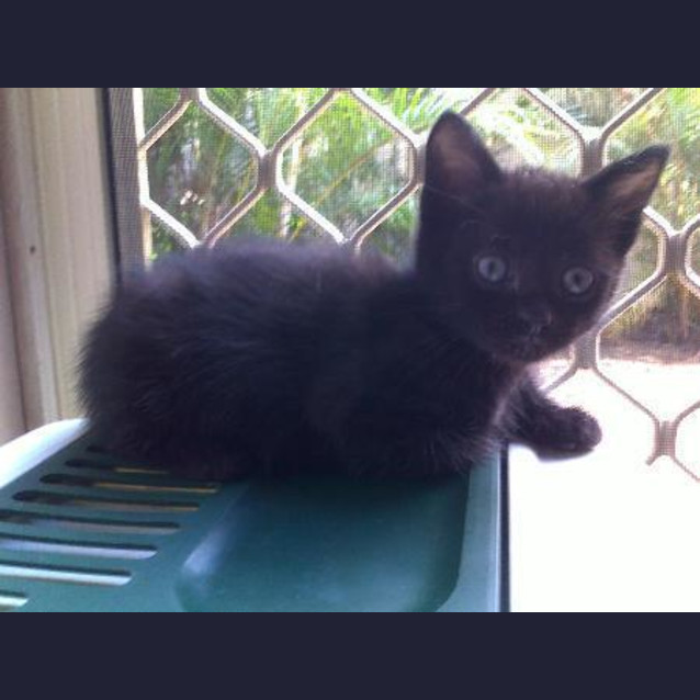 Photo of Bob