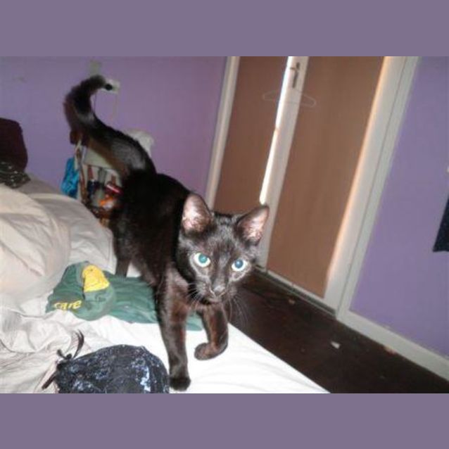 Photo of Coraline