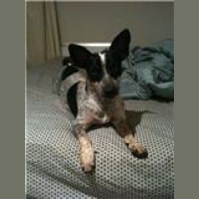 Photo of Colin