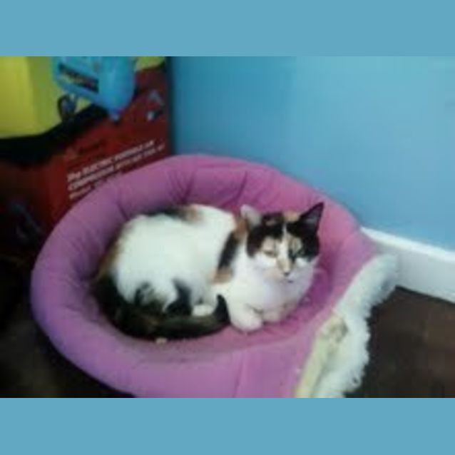 Photo of Princess