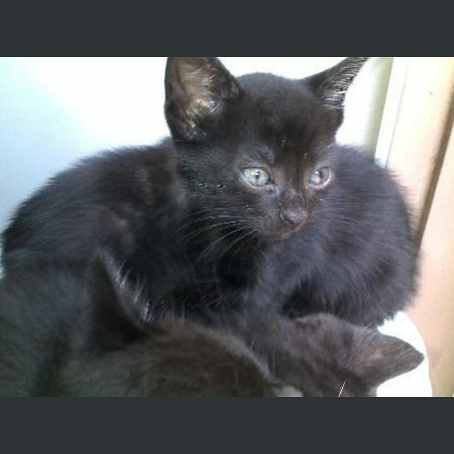 Photo of Smoke
