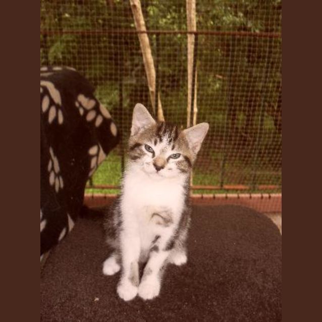 Photo of Tess