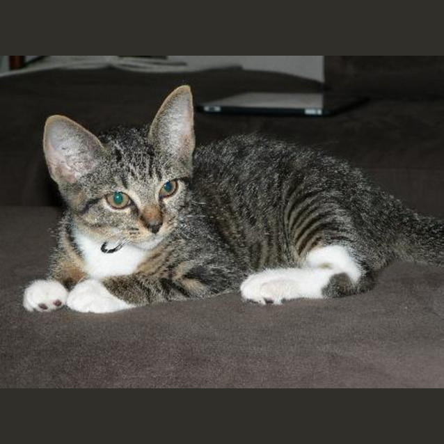 Photo of Jack