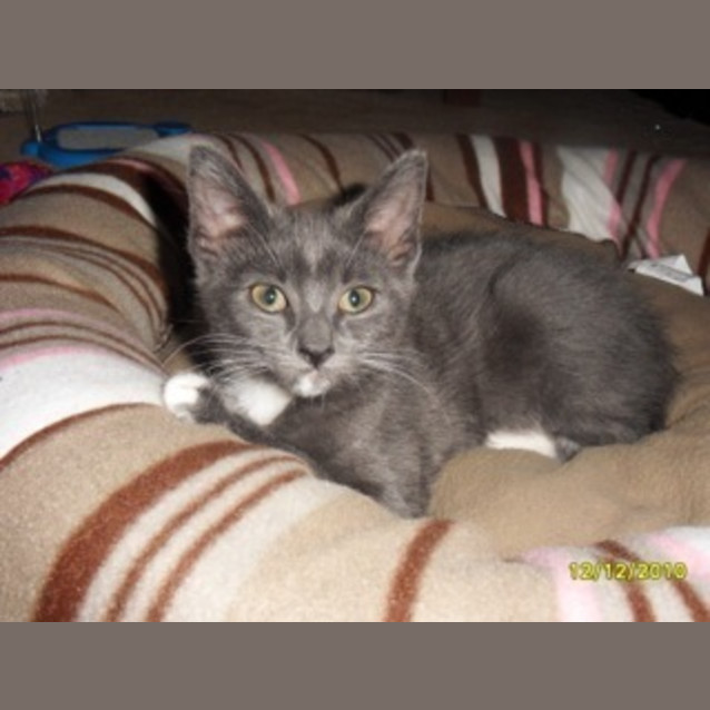 Photo of Rea