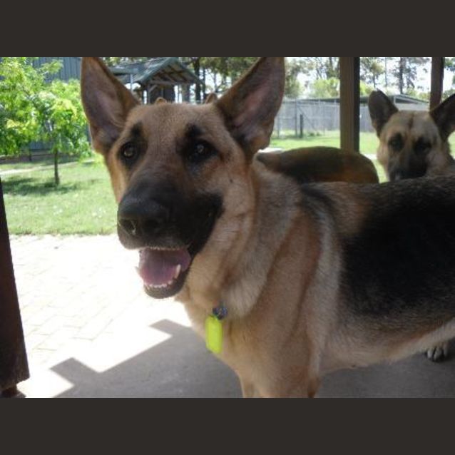 Photo of Luka