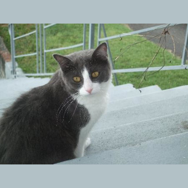Photo of Georgie
