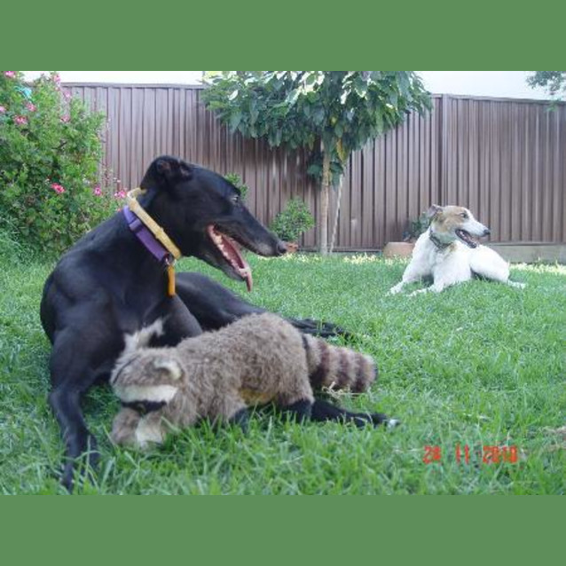 Photo of Vase   Trying Out My New Home