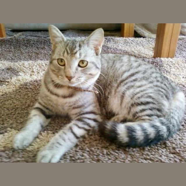 Photo of Tabitha