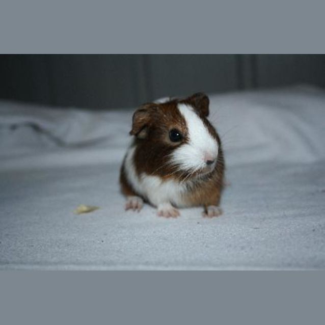 Photo of Patrick