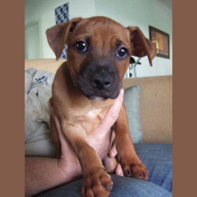 Photo of Buttons