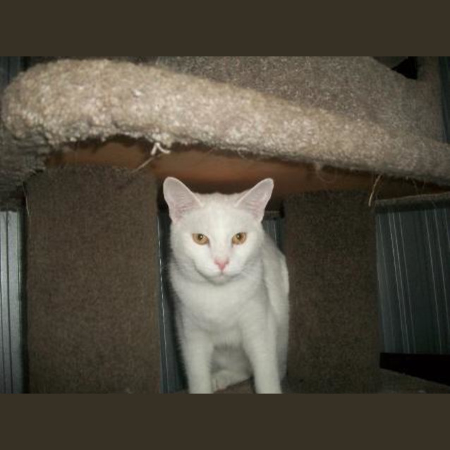 Photo of Sugar