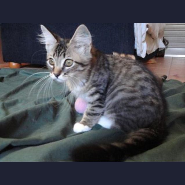 Photo of Precious