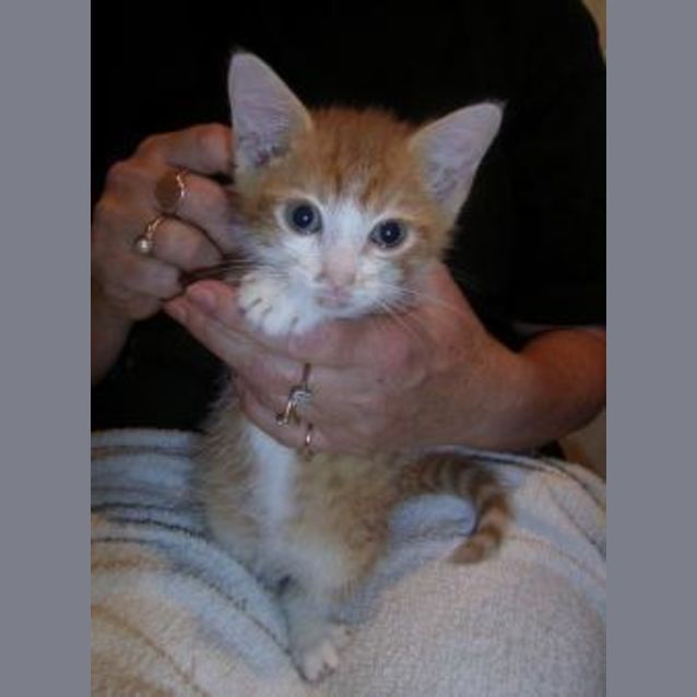 Photo of Spike
