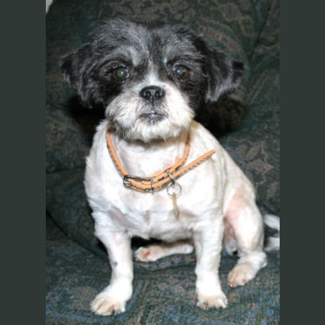 Photo of Nellie