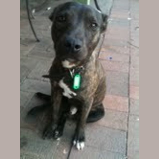 Photo of Jazzy
