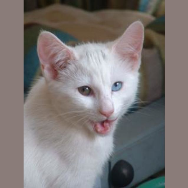 Photo of Libby