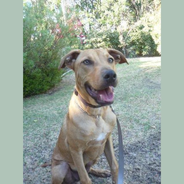 Photo of Bronx