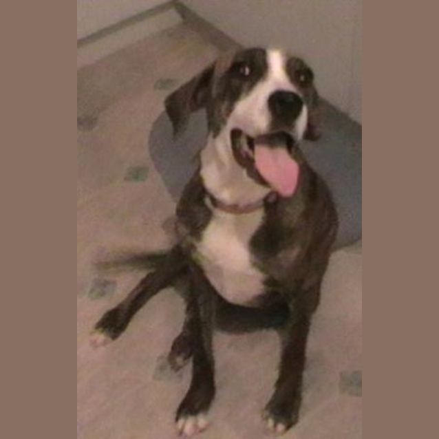 Photo of Annie