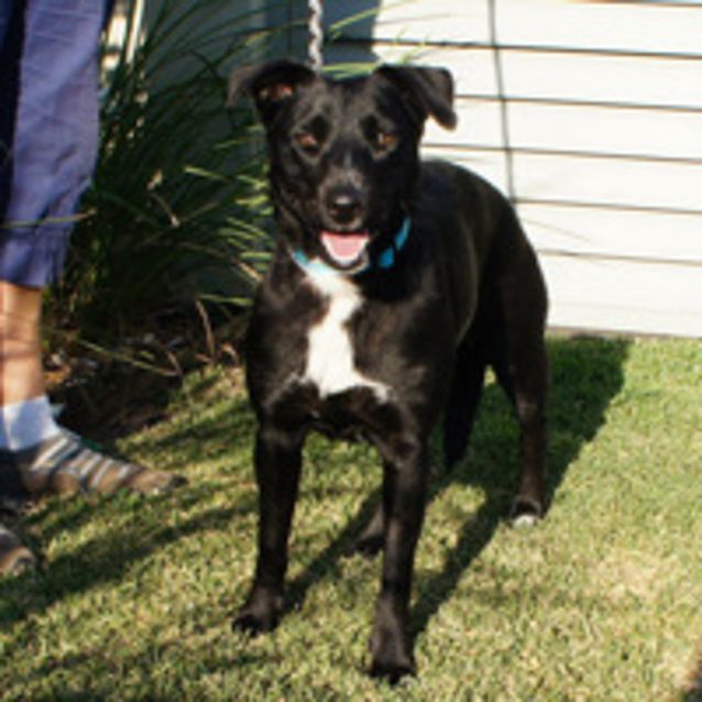 Photo of Suki