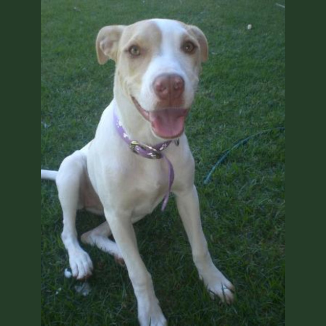 Photo of Holly