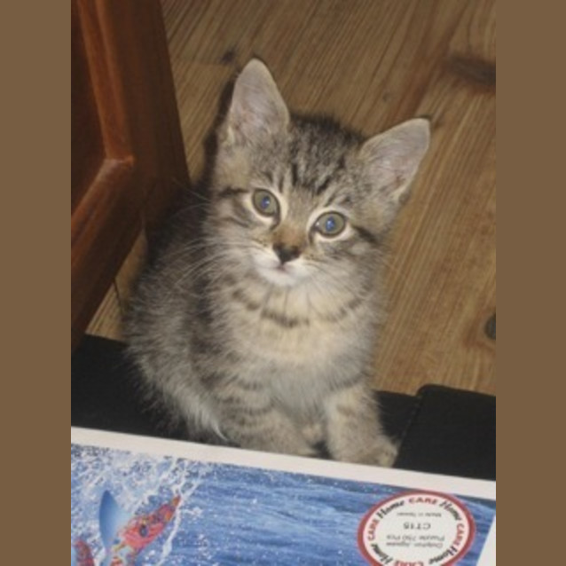 Photo of Twinkle