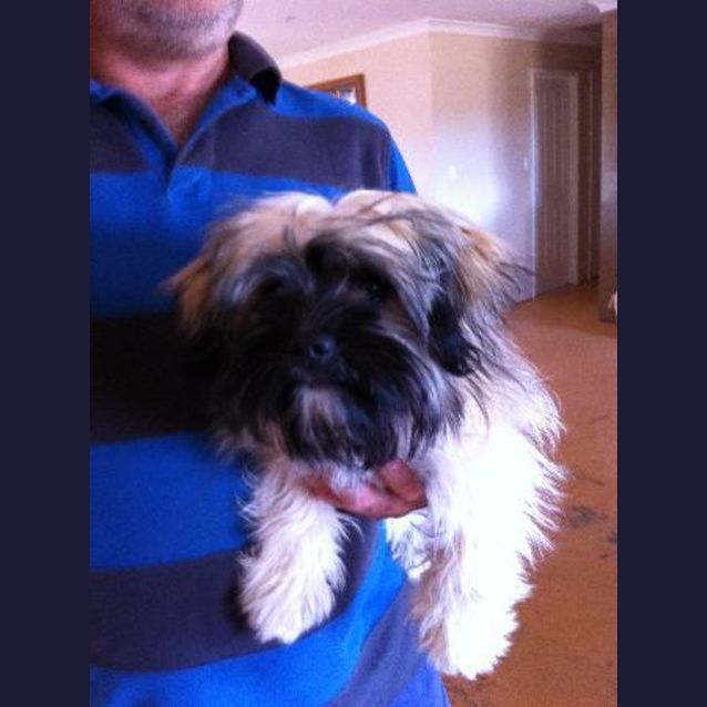 Photo of Poppy