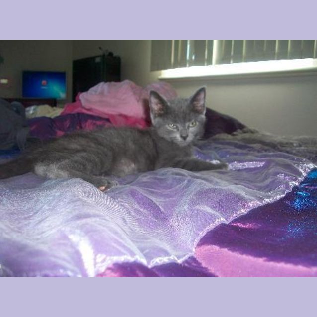 Photo of Mercury