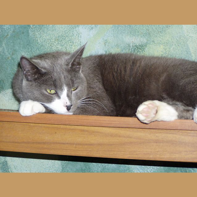 Photo of Baden