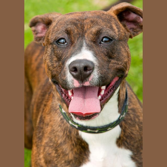 Photo of Zara Id9015