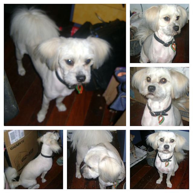 Photo of Jack