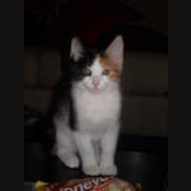 Photo of Rubi