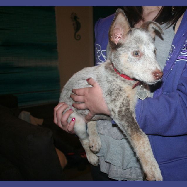 Photo of Roxy