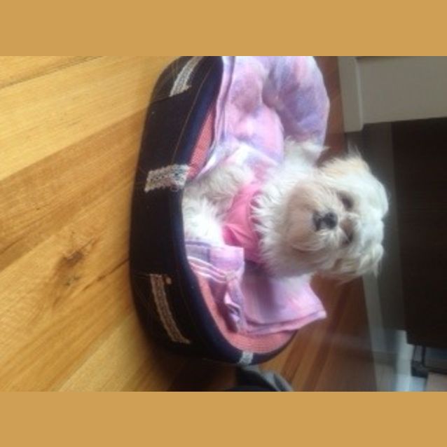 Photo of Polly