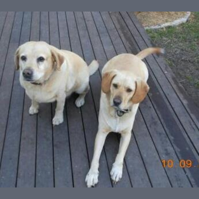 Photo of Keta & Sammi