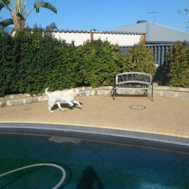 Photo of Meika  * On Trial In New Home*
