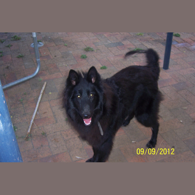 Photo of Sarah (On Trial With Her New Family)