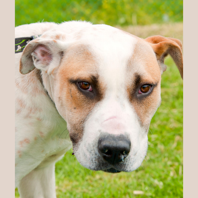 Photo of Frankie Id8907