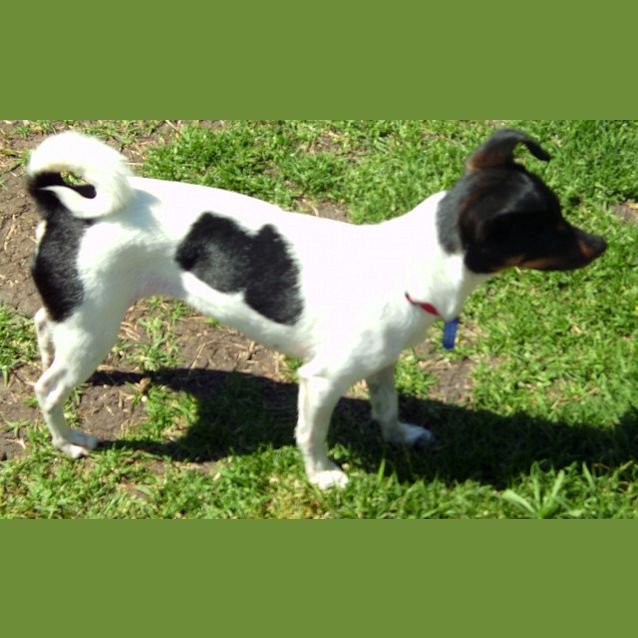 Photo of Lucy (On Trial)