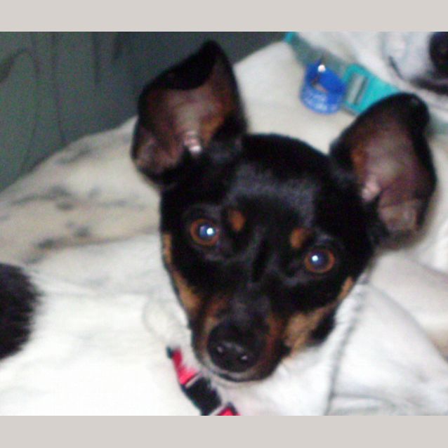 Photo of Lucy (On Trial)