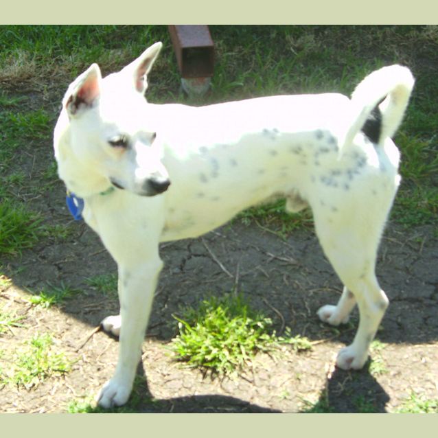 Photo of Rango (On Trial 7/2/13)