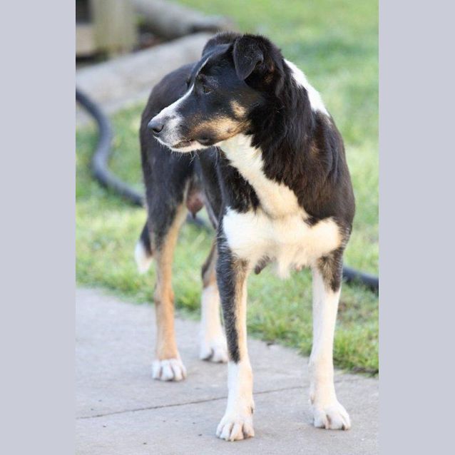 Photo of Bonnie