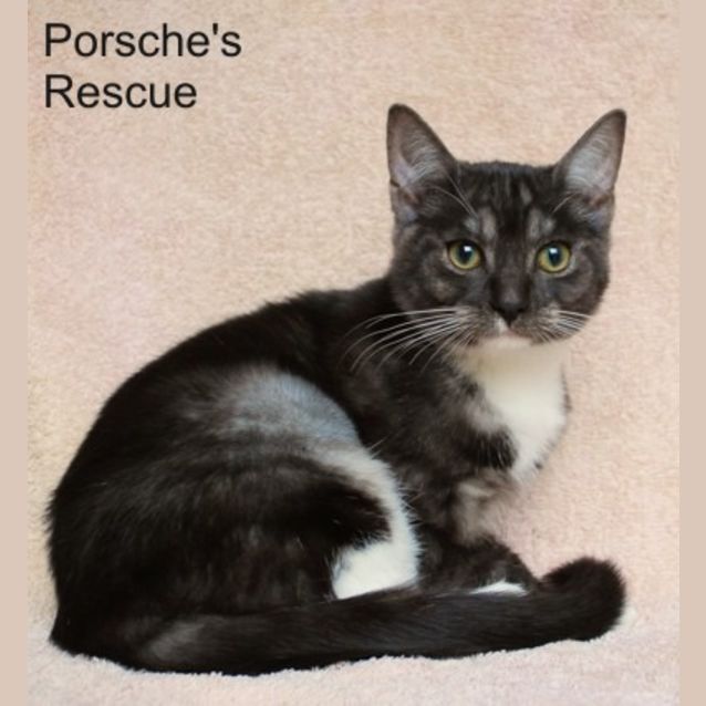 Photo of Turbine   On Hold