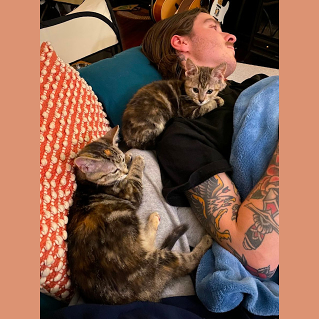 Photo of Teaspoon And Tater Tot